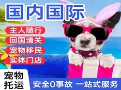 郑州机场快运国际宠物托运 【国
